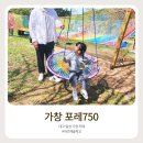 가창 포레750 아르떼숲학교, 아이와 가족 힐링 캠프 후기 (구. 파크700 대세목장)