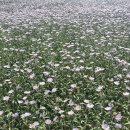 태기산마을 이미지