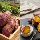 한아름영농조합법인