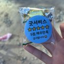 (주)신한디앤엘 네이버블로그