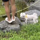 경원에너지 | 더위 조심!(러시안잭, 뮤지컬 팬텀, 장인약과 삼각이, 경원식당, 프리메라 쿠션)