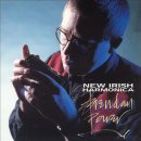 Brendan Power - New Irish Harmonica 이미지