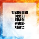 내친구동물병원 이미지