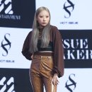 예원 이미지