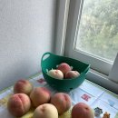 케이비농장 이미지