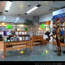 느티나무 도서관 이미지