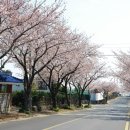 예래동-4 이미지