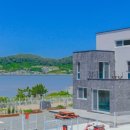 가덕 코이 이미지