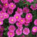 오늘과 내일 이미지