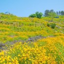 진성 마을회관 이미지