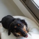 바스인더썬 이미지