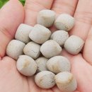 굳디컴퍼니 이미지