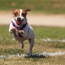 위즈동물병원 이미지