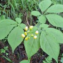 천종농장 이미지