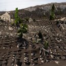 천은농장 이미지