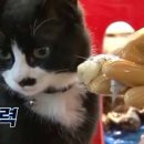 이너피스 이미지