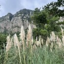 온리솝 | 제주도 서귀포시 안덕면 대형카페 원앤온리 내돈내산 후기