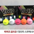 이글엑스 이미지
