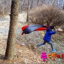 오후의숲 이미지