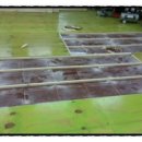 정읍태권도체육관 이미지