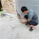 진성오토바이
