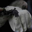 지니모터스 이미지