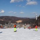 알펜시아리조트 이미지