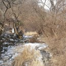 녹색향기 펜션 이미지