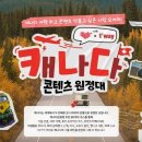 새를 타고 나는 사 이미지