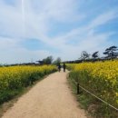 대왕암공원해안화장실 이미지