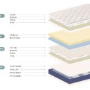 SS ZONE | 🌿 매일 만나는 깨끗함: 듀얼 드림이 선사하는 완벽한 수면 환경