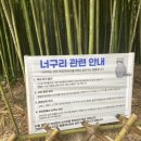 대나무테마정원 화장실 이미지