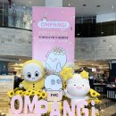 NC백화점 이미지