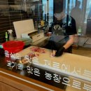 애월농장 이미지