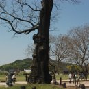 안흥일품꽃게장 이미지