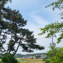 처음처럼 펜션 | 태안 안면도 삼봉해수욕장 정원이 예쁜 애견펜션 처음처럼 애견펜션 후기