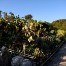 외도보타니아 이미지