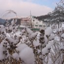 둔내유스호스텔 이미지