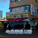 속초막걸리술빵술빵 | 속초중앙시장 막걸리술빵 오픈런 실패 후기 (+주차정보 정리)