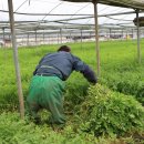 우성농장 이미지