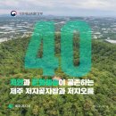우리마을 생태해설사 현장실습과정 | 문화와 예술이 공존하는 제주 저지곶자왈과 저지오름⛰️