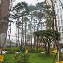 카림탑공인중개사사무소 이미지