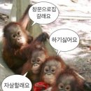 안녕빵
