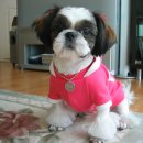 아람이네 이미지