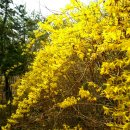 백양산 등산로 이미지