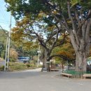 장동리 마을회관 네이버블로그