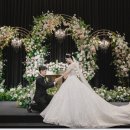 타임결혼정보 이미지