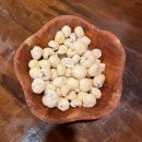 꼬꼬야숯불뜨겁니 이미지