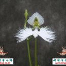 연합 농장 이미지