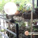 탑골민박 이미지